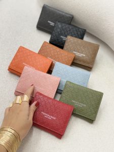 کیف پول ساتلی